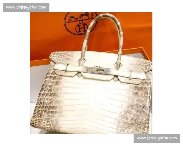 华贵铂金段独特魅力探秘 打造尊贵品质与时尚品味的完美结合 华贵铂金段独特魅力探秘 打造尊贵品质与时尚品味的完美结合